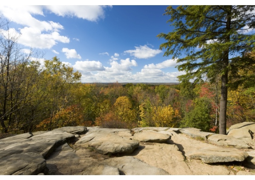 Cleveland Through the Seasons 